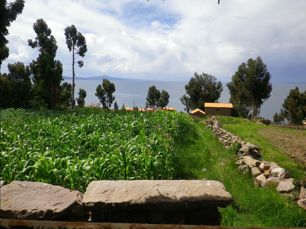 Island Amantani13